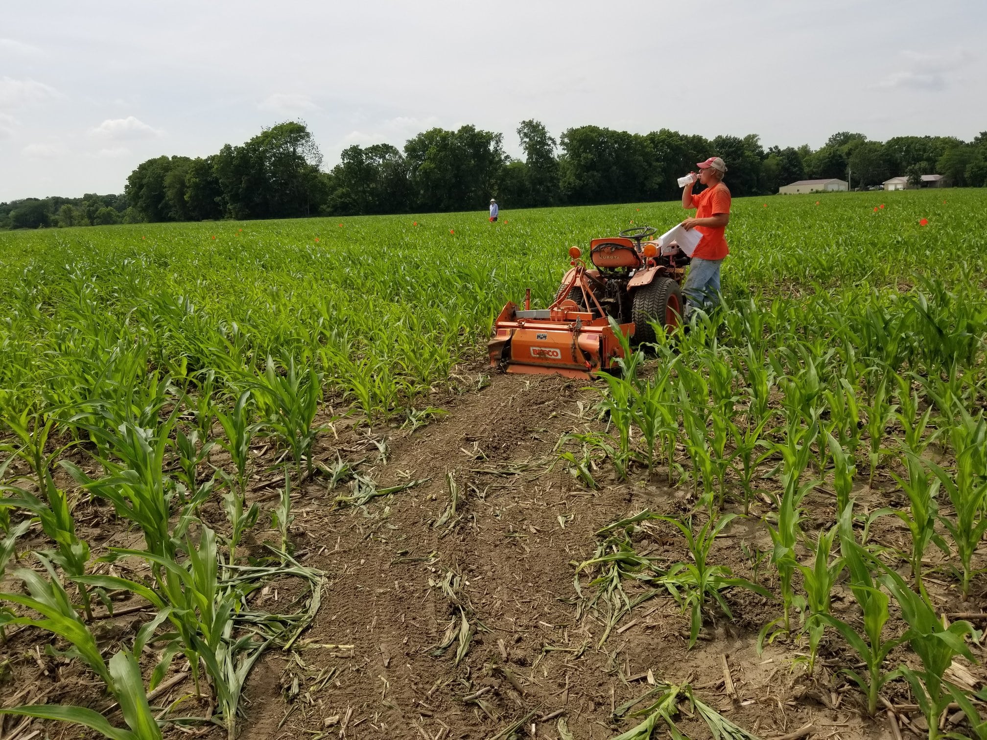 Phil Riehm Farm Happening (6th DELIVERY SUMMER) - Farm Happenings at Riehm Produce ...