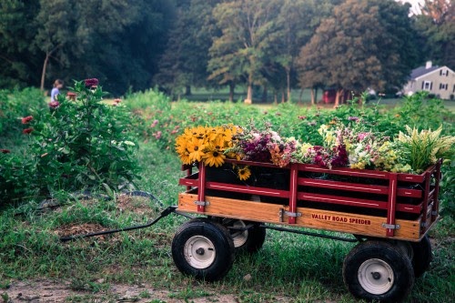 flowers in wagon